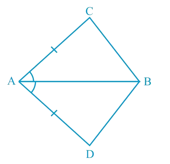 In quadrilateral ACBD, AC = AD and AB bisects ∠A (see Fig. 7.16). Show that Δ ABC ≅ Δ ABD. What can you say about BC and BD?