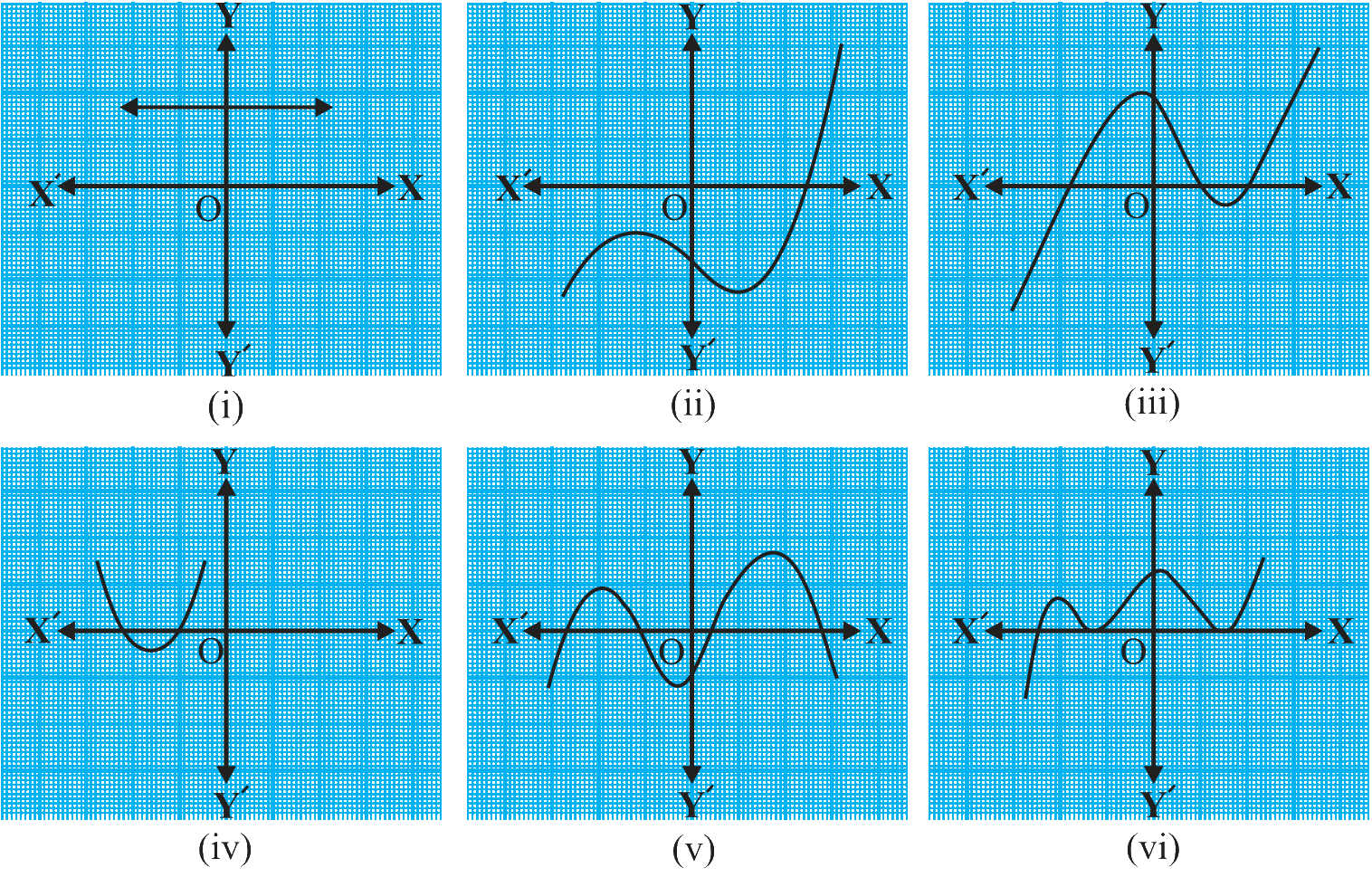 The graphs of y = p(x) are given in Fig. 2.10 below, for some polynomials p(x). Find the number of zeroes of p(x), in each case