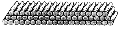 200 logs are stacked in the following manner: 20 logs in the bottom row, 19 in the next row, 18 in the row next to it and so on (see Fig. 5.5). In how many rows are the 200 logs placed and how many logs are in the top row?