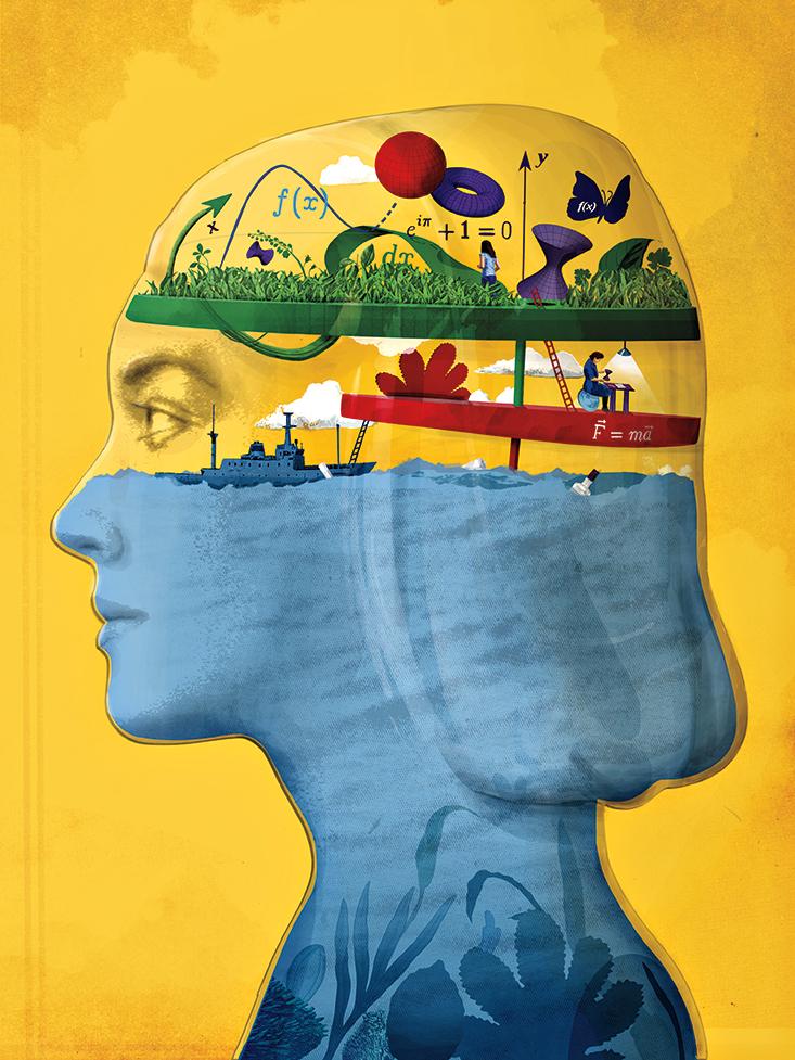 Math learning in brain