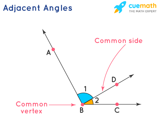 Adjacent Angles Definition Meaning Properties Examples Adjacent Angles Definition Meaning Properties Examples