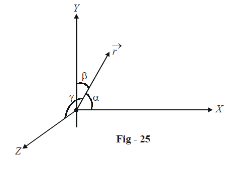 Magnitudes Direction Cosines And Direction Ratios Of Vectors What Is Magnitudes Direction