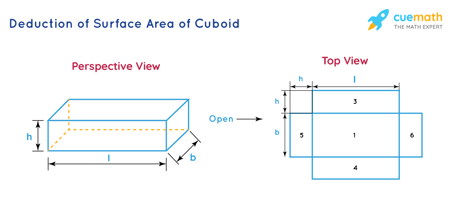 Surface Area Of Cuboid Formula Definition Examples FAQs