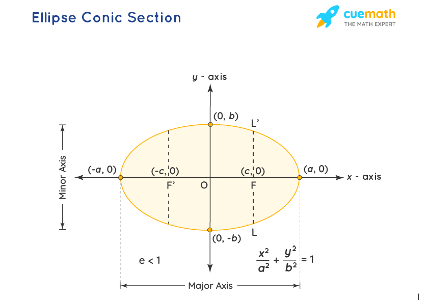 eelise conic section