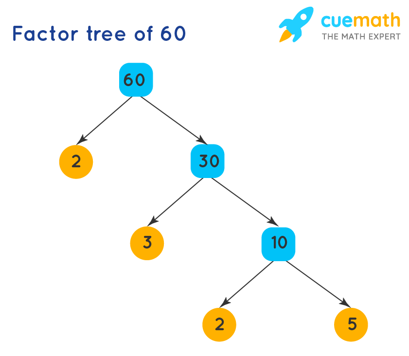 Factors Of 60 Find Prime Factorization Factors Of 60