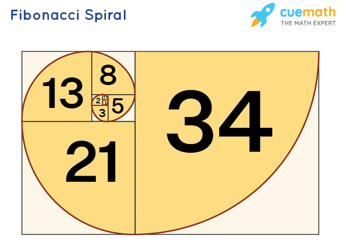 The Fibonacci Spiral is formed by connecting quarter-circles inside squares that are sized according to the Fibonacci sequence.