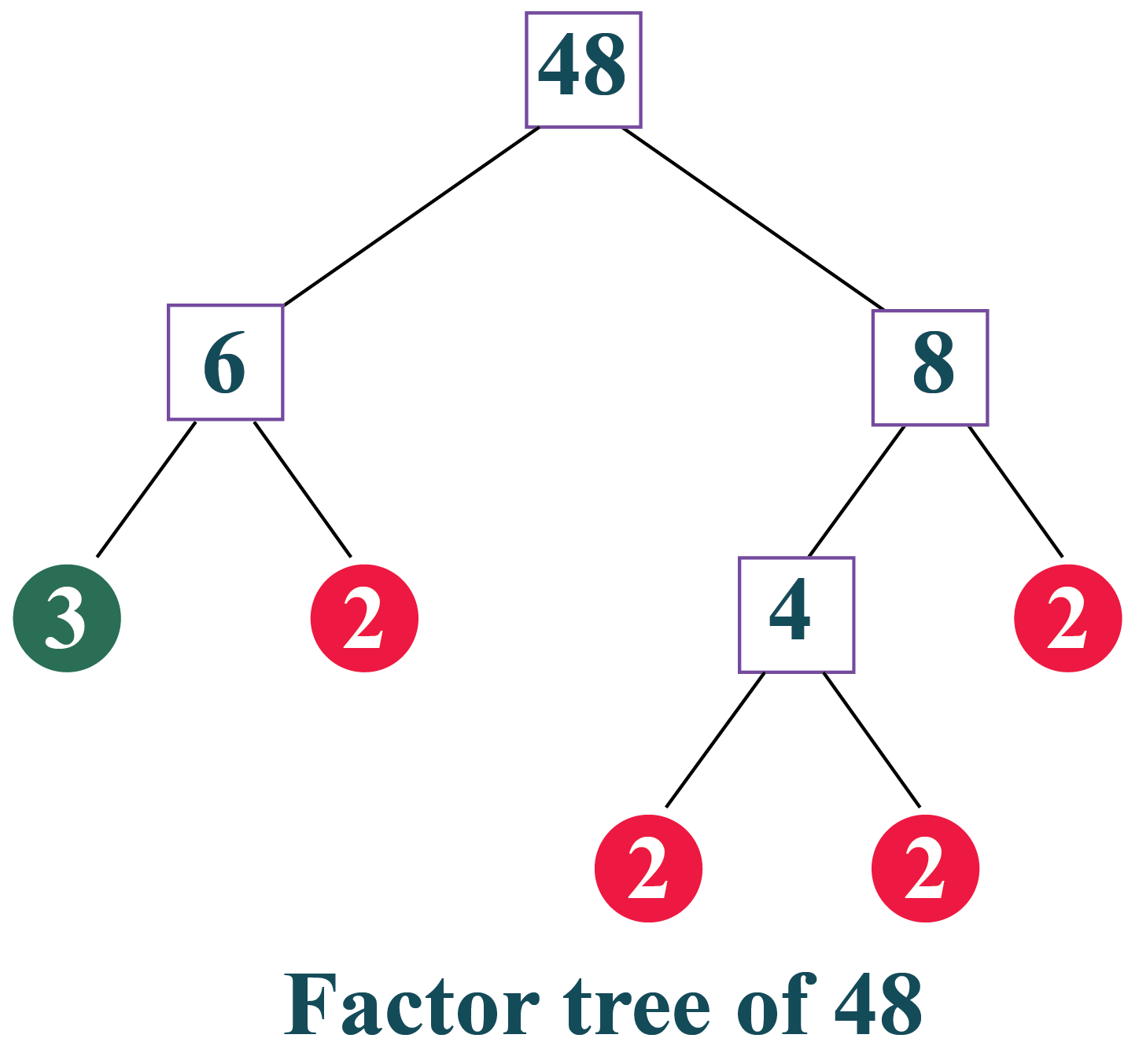 What Is A Factor Tree Images And Photos Finder