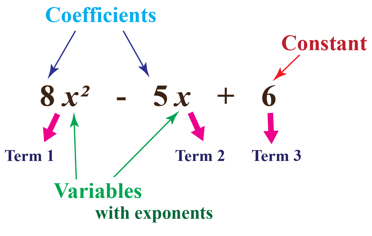 Polynomial In Standard Form Example