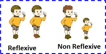 reflexive and non reflexive