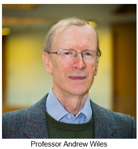 Professor Andrew Wiles