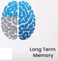 long term memory