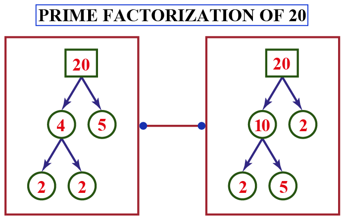 Prime Factorization of 20 Cuemath