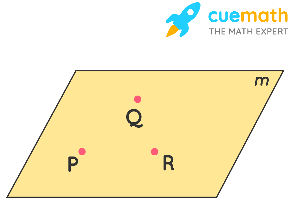 Median Plane Definition And Examples - Kenhub - Laboratory