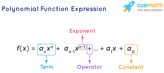 Polynomial Function - Graph, Definition, Formulas, Types