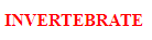invertebrate