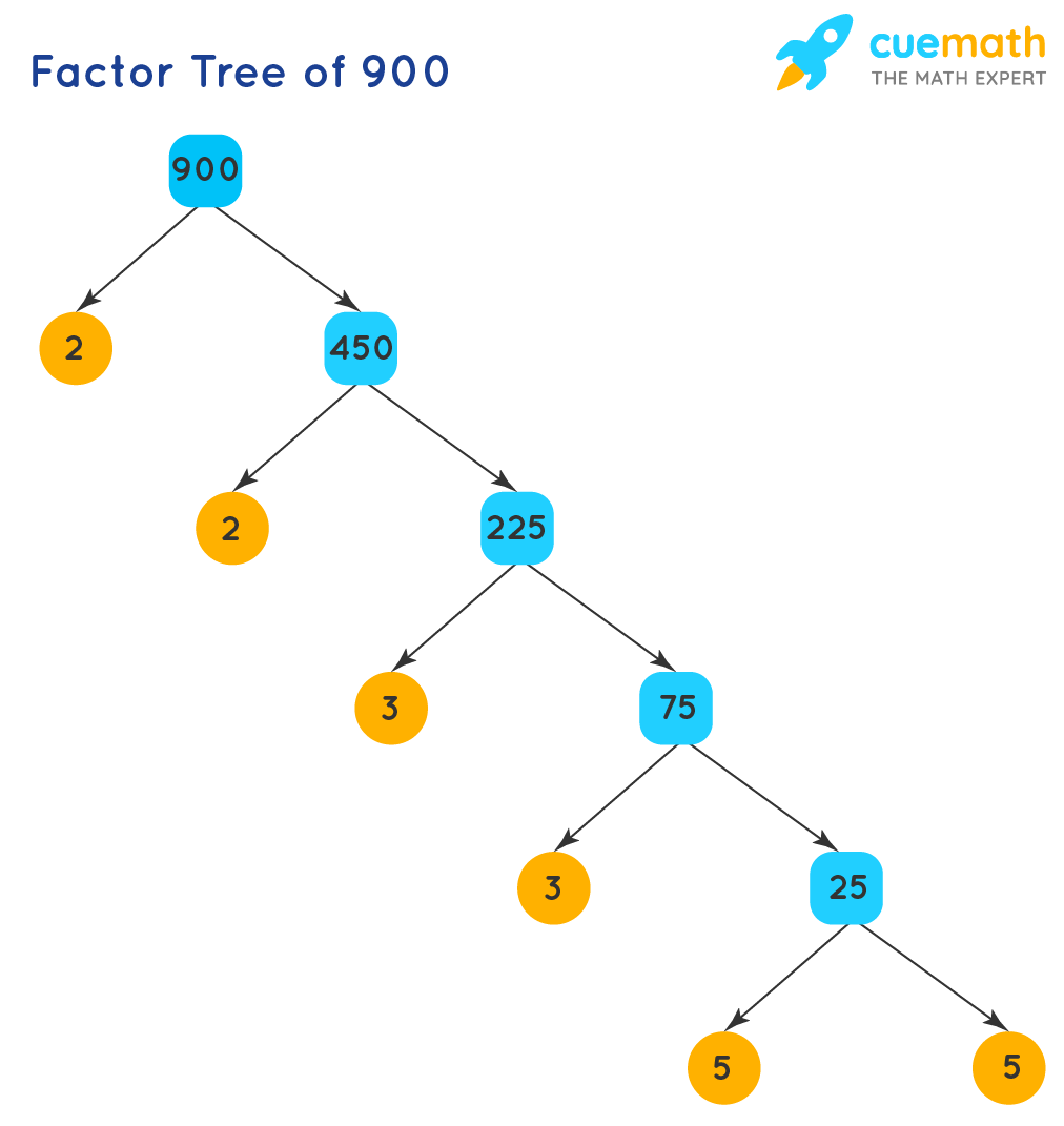 Factors Of 900 Find Prime Factorization Factors Of 900
