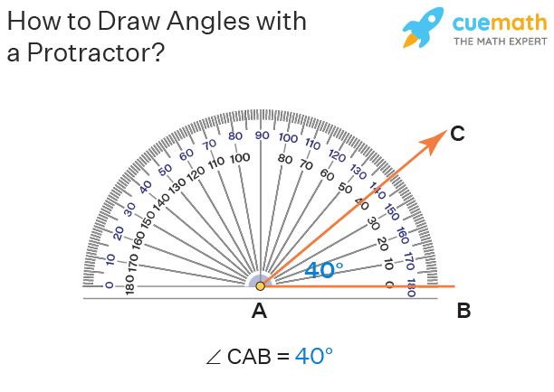 Describe How A Protractor Is Used To Measure Angles 