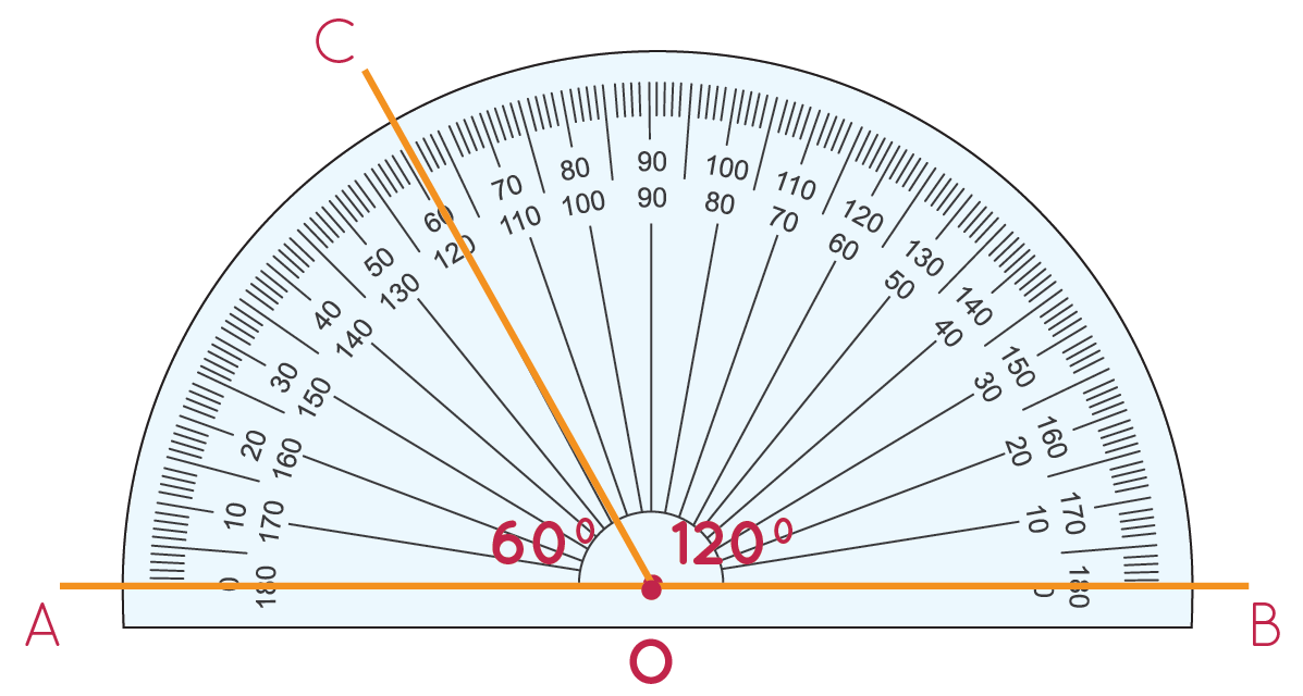 60 degrees and 120 degrees measured using a protractor