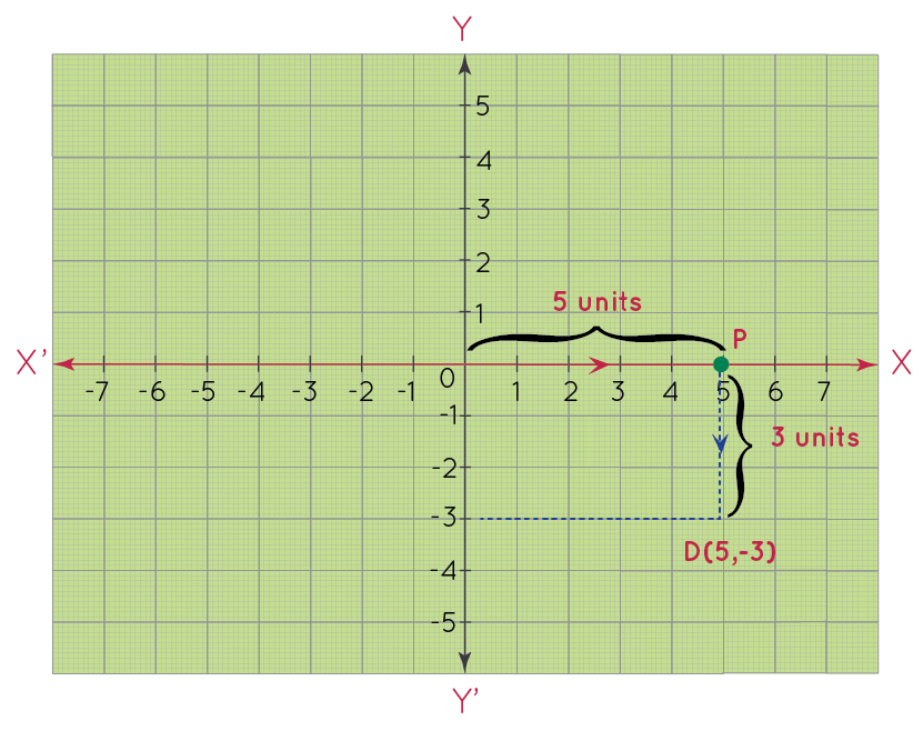 What Is Quadrant Definition Coordinate Graphs Examples Practice Questions