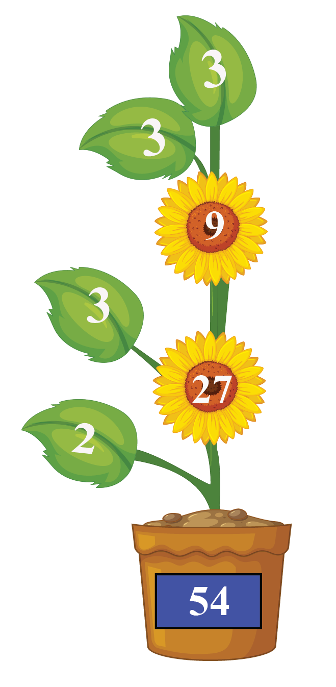 Factors Of 54 Cuemath