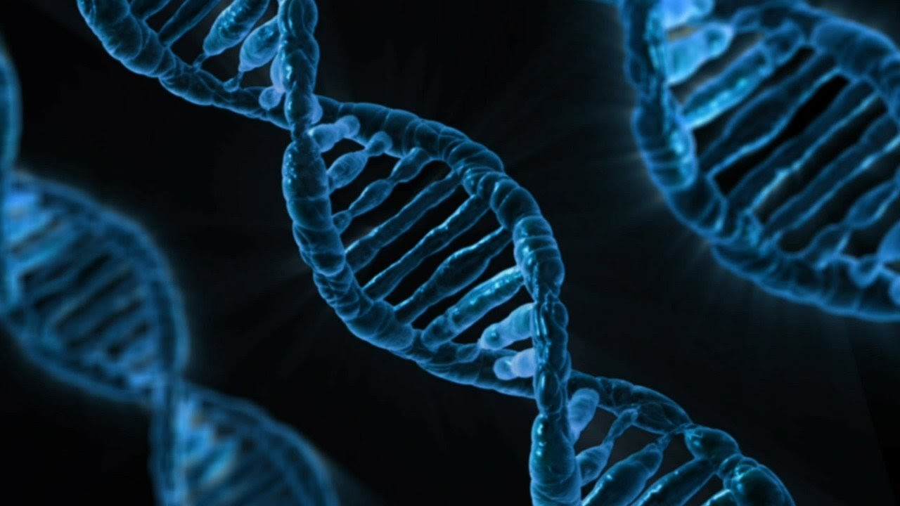Dna: A type of sequence in nature