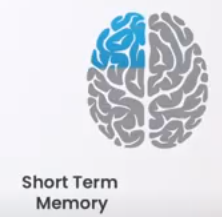 short term memory