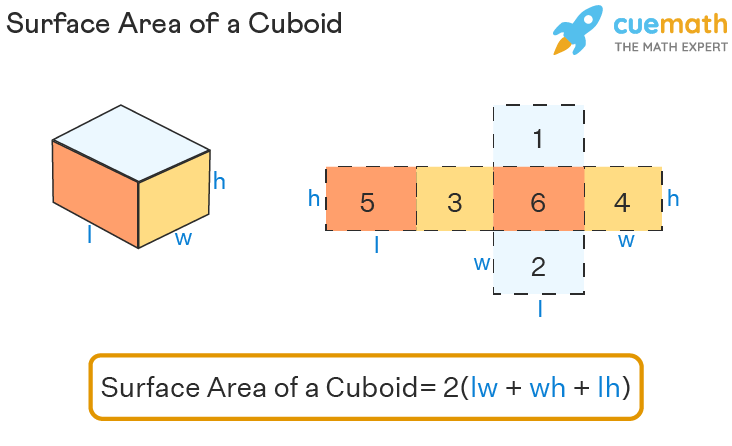 Surface Area Of Cuboid Formulas Of TSA And CSA LSA Examples